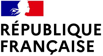 Gouvernement Français